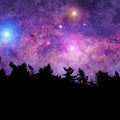 Beneath the Stars - Premium Fragrance Oil