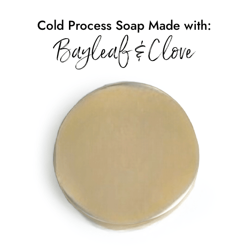 Bayleaf & Clove - Premium Fragrance Oil