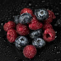Dark Fruit - Premium Fragrance Oil