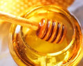 Honey - Premium Fragrance Oil