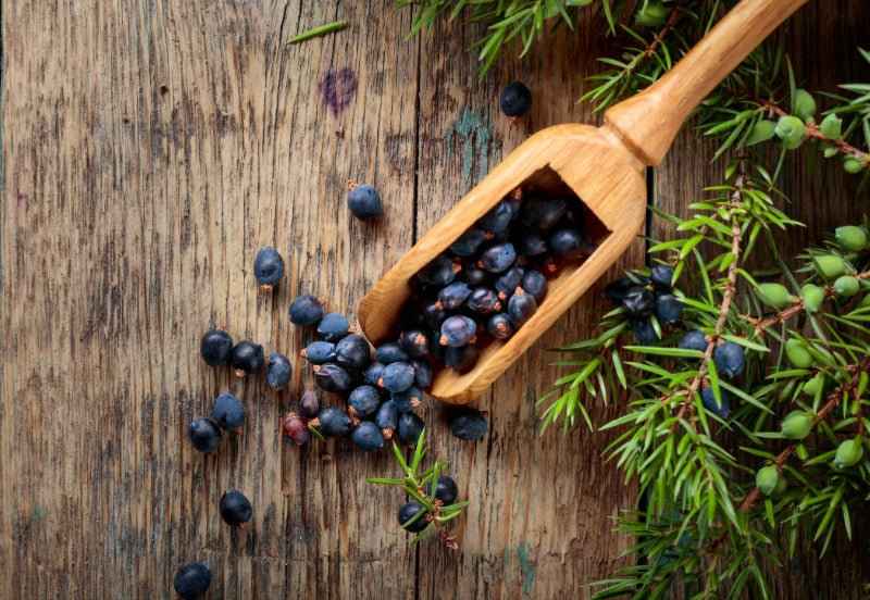Juniper Berries & Tobacco - Premium Fragrance Oil