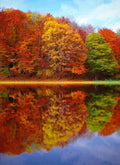Perfect Autumn (BBW type) - Premium Fragrance Oil