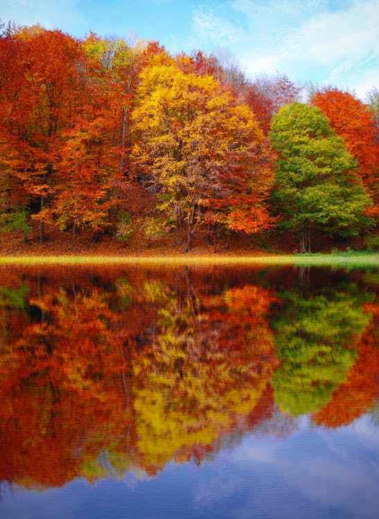 Perfect Autumn (BBW type) - Premium Fragrance Oil