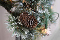 Pinecones  (Discontinued - Last Chance) - Premium Fragrance Oil