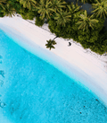 South Pacific Waters - Premium Fragrance Oil