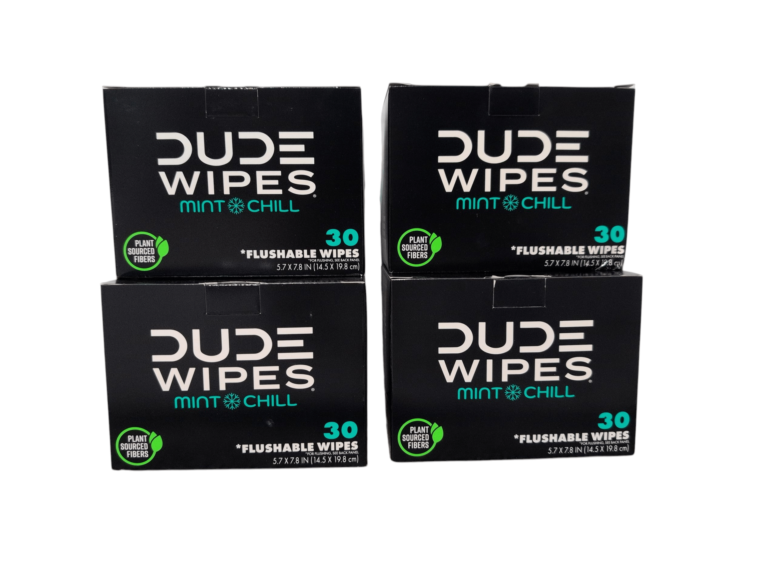 DUDE Wipes XL Flushable Wipes – Fragrance Free, Hypoallergenic Adult Wipes (400 CT / 480 CT)