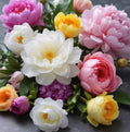 Flowerbomb type -Premium Fragrance Oil - Compare to Viktor & Rolf®